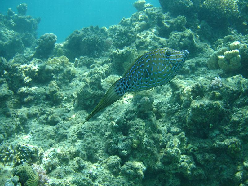 06 EG 021.JPG